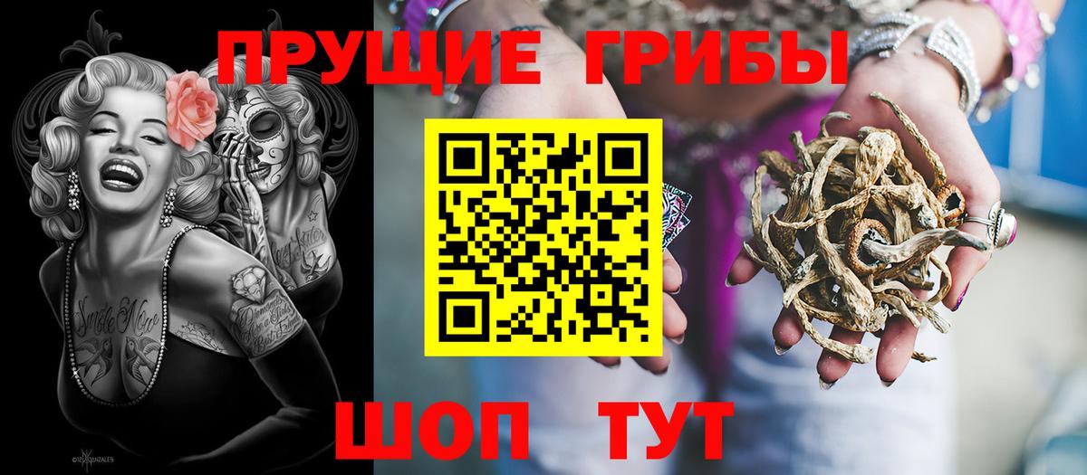 Горячий Ключ  Псилоцибиновые грибы Cubensis  Псилоцибиновые грибы ЛСД  Вход с VPN 