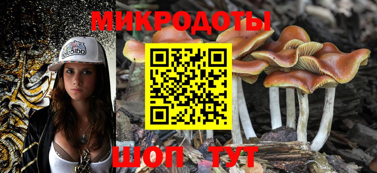 Псилоцибиновые грибы Psilocybine cubensis Горячий Ключ